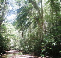 Mount Lewis National Park - New South Wales Tourism 