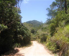 Mount Lewis National Park - New South Wales Tourism  2