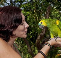 Birdworld Kuranda - New South Wales Tourism 