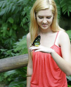 Australian Butterfly Sanctuary - New South Wales Tourism  1