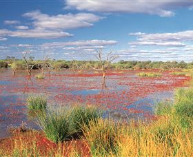 Adventure Way - New South Wales Tourism  3