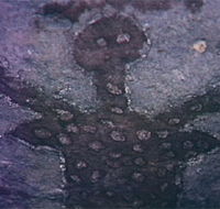 Quinkan Reserves Ancient Rock Art - New South Wales Tourism 