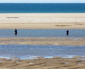 Alva Beach - New South Wales Tourism  0