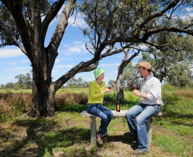 Restdown Wines And Walking Trail - New South Wales Tourism  0