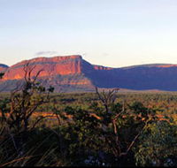 Blackdown Tableland National Park - New South Wales Tourism 