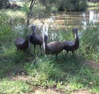 East Tolans Farm Tour - New South Wales Tourism 