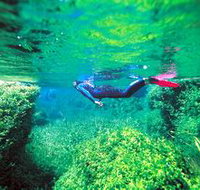 Piccaninnie Ponds Conservation Park - New South Wales Tourism 