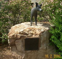 Dingo Statue - New South Wales Tourism 