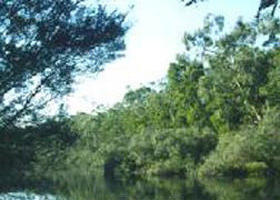 Crawford River Regional Park - New South Wales Tourism  0
