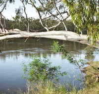Murray Valley National Park - New South Wales Tourism 