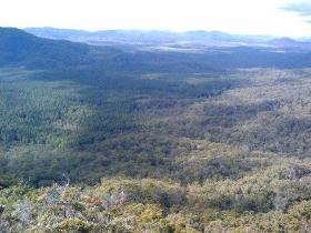 Mia Mia State Forest - New South Wales Tourism  1