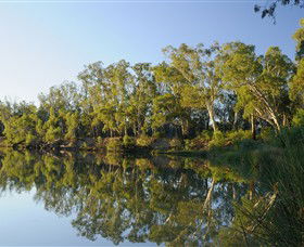 IWaterSki - New South Wales Tourism  0