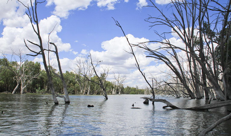 Morundah NSW New South Wales Tourism 