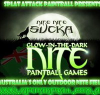 Nite Paintball Games Moama - New South Wales Tourism 
