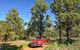 Forest Drive - thumb 0