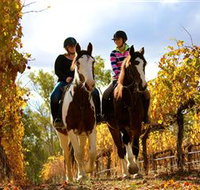 Billabong Ranch - New South Wales Tourism 