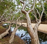 Oyala Thumotang National Park CYPAL - New South Wales Tourism 