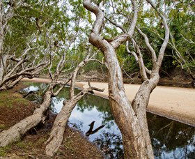 Oyala Thumotang National Park (CYPAL) - New South Wales Tourism  0