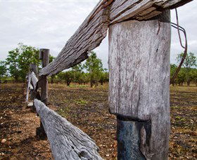 Oyala Thumotang National Park (CYPAL) - New South Wales Tourism  1