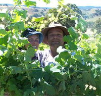 Wimmera Hills Winery - New South Wales Tourism 