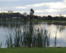 Luke Park - New South Wales Tourism  2