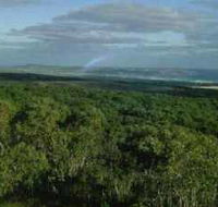 Mount Richmond National Park - New South Wales Tourism 