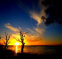 Lake Cowal - New South Wales Tourism 