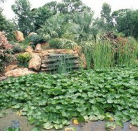 Mackenzie Park - New South Wales Tourism 