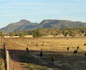 Tooraweenah NSW New South Wales Tourism 
