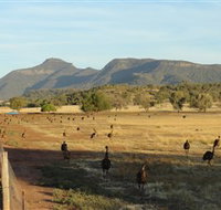 Emu Logic - New South Wales Tourism 