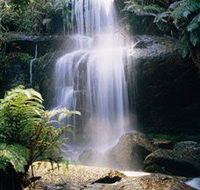 Mount Buangor State Park - New South Wales Tourism 