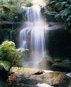 Mount Buangor State Park - New South Wales Tourism  0