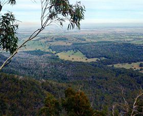 Mount Buangor State Park - New South Wales Tourism  2