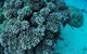 Castle Rock Dive Site - thumb 2