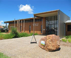 Pilliga Forest - New South Wales Tourism  0