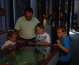 Pilliga Forest - New South Wales Tourism  1