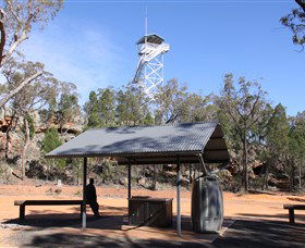 Pilliga Forest - New South Wales Tourism  2