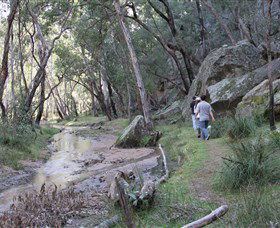 Pilliga Forest - New South Wales Tourism  3