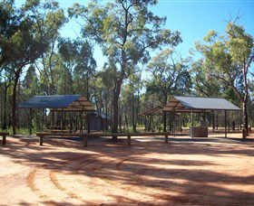 Pilliga Forest - New South Wales Tourism  6