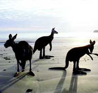 Hibiscus Coast - New South Wales Tourism 
