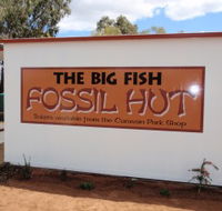 Big Fish Fossil Hut at Peak Hill - New South Wales Tourism 