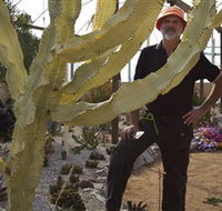 Cactus Country - New South Wales Tourism 