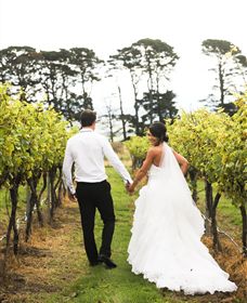 Quoin Hill Vineyard - New South Wales Tourism  2
