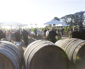 Quoin Hill Vineyard - New South Wales Tourism  6