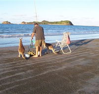 Cape Hillsborough National Park - New South Wales Tourism 