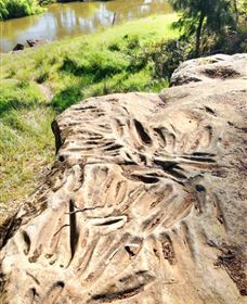 Terramungamine Rock Grooves - New South Wales Tourism  0