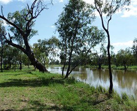Seplin Estate Wines - New South Wales Tourism  1