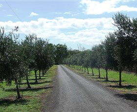 Seplin Estate Wines - New South Wales Tourism  3