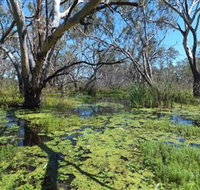 Macquarie Valley Trails - New South Wales Tourism 