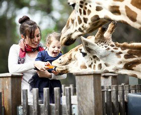 Taronga Western Plains Zoo, Dubbo - New South Wales Tourism  0